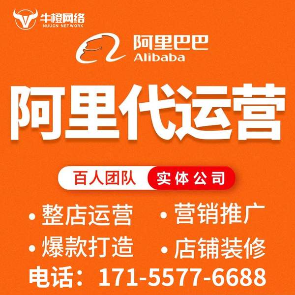 济源电商代运营