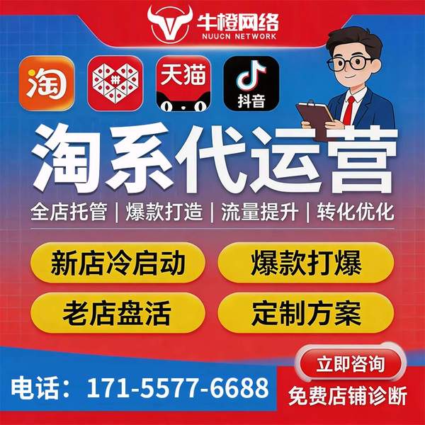 济源电商代运营