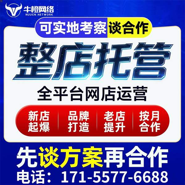 济源电商代运营