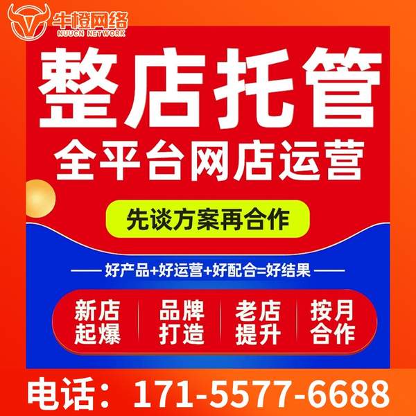济源电商代运营