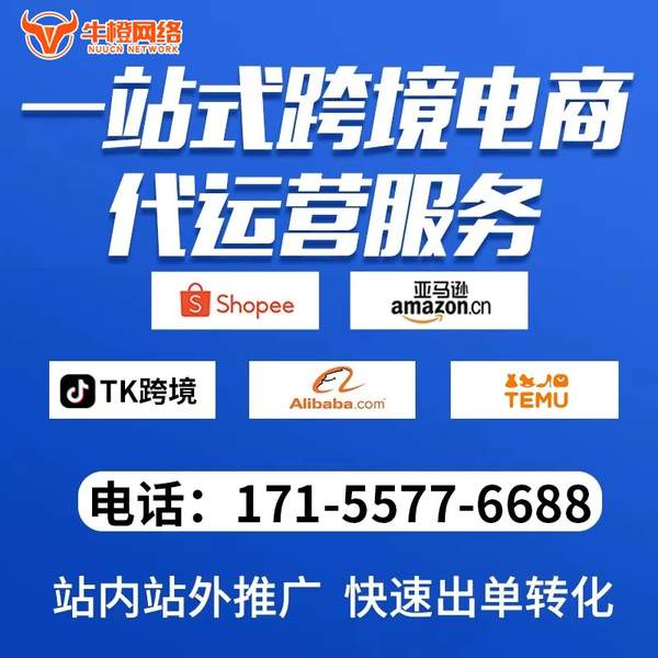 济源电商代运营