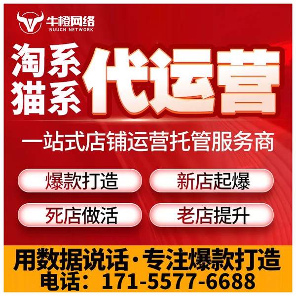 济源电商代运营